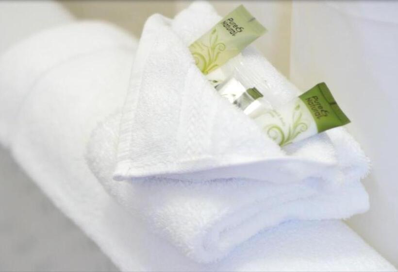 غرفة قياسية, Historic Plains