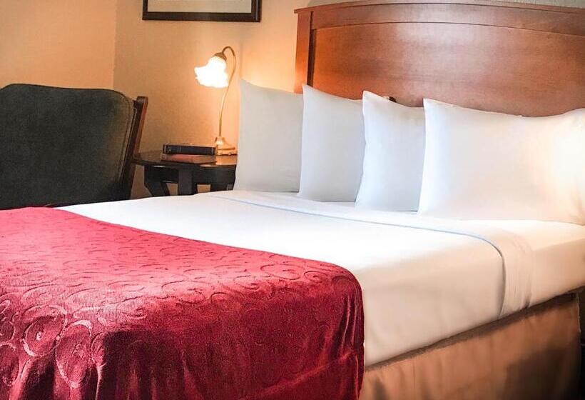 غرفة قياسية, Historic Plains