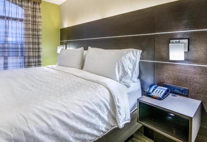 غرفة قياسية سرير كينج, Holiday Inn Express & Suites Longview North, An Ihg