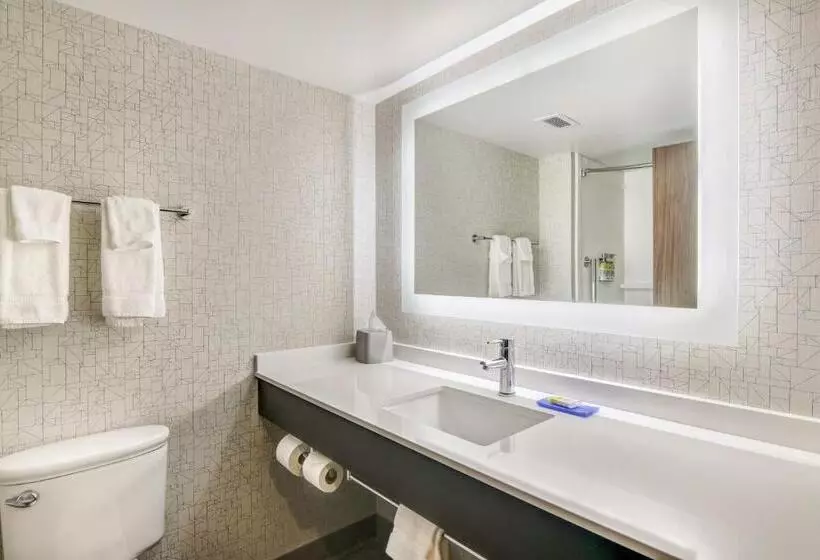 اتاق استاندارد, Holiday Inn Express & Suites Longview North, An Ihg