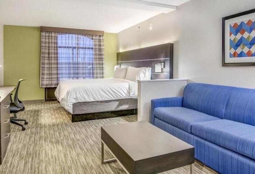 جناح سرير كينج, Holiday Inn Express & Suites Longview North, An Ihg