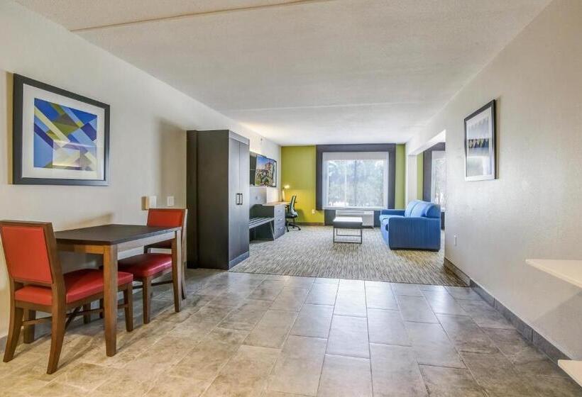 جناح سرير كينج, Holiday Inn Express & Suites Longview North, An Ihg