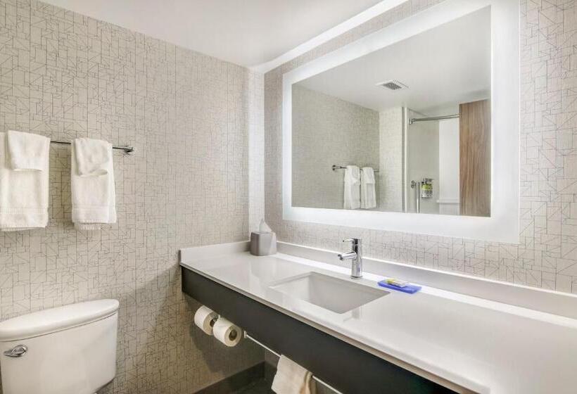 غرفة قياسية سرير كينج لذوى الإحتياجات الخاصة, Holiday Inn Express & Suites Longview North, An Ihg