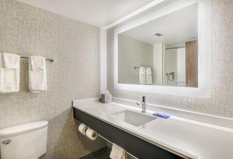 Номер Стандарт Адаптированный для Инвалидов, Holiday Inn Express & Suites Longview North, An Ihg