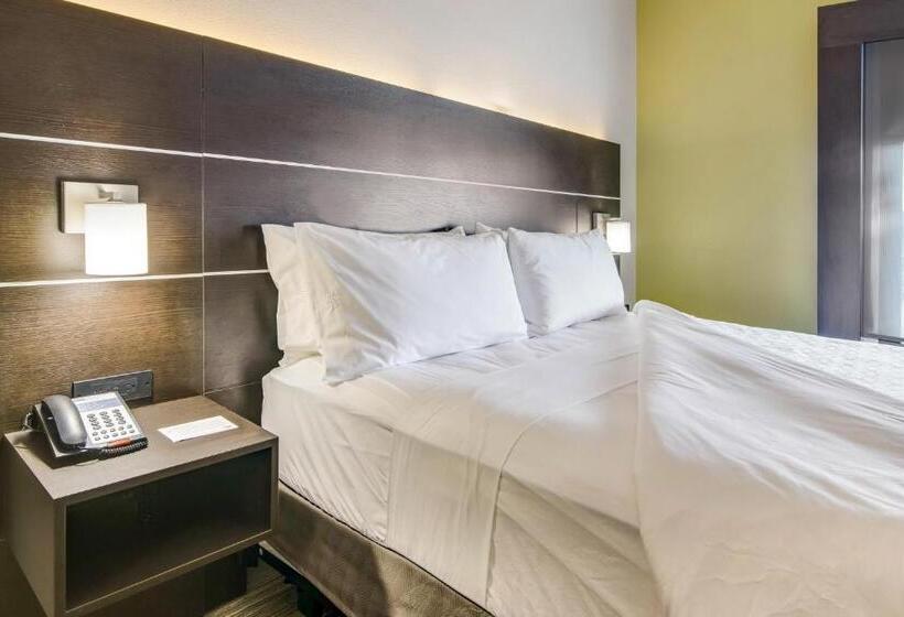 غرفة قياسية سرير كينج, Holiday Inn Express & Suites Longview North, An Ihg