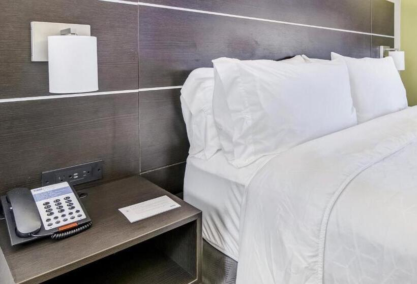 جناح سرير كينج, Holiday Inn Express & Suites Longview North, An Ihg