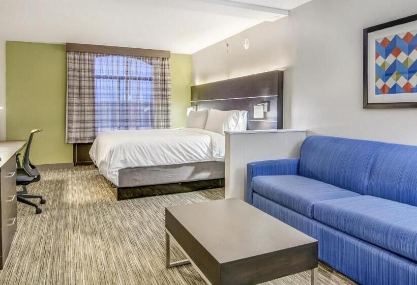 جناح سرير كينج, Holiday Inn Express & Suites Longview North, An Ihg