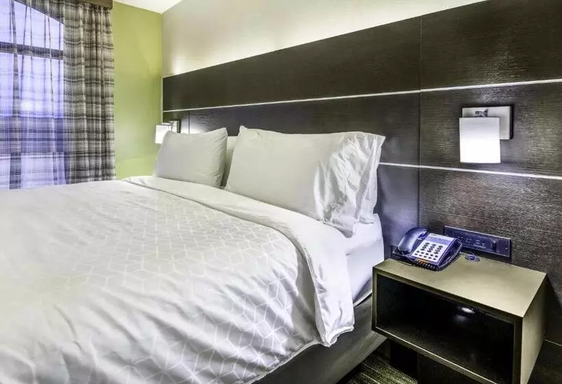 سوئیت با تخت بزرگ, Holiday Inn Express & Suites Longview North, An Ihg