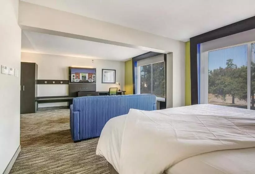 سوئیت با تخت بزرگ, Holiday Inn Express & Suites Longview North, An Ihg