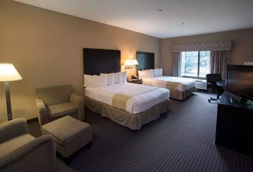 Standard-invahuone, Holiday Inn St. Paul Northeast   Lake Elmo, An Ihg