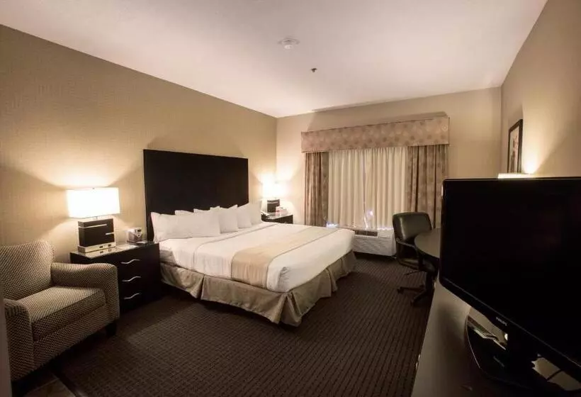 Executive-huone King-vuode, Holiday Inn St. Paul Northeast   Lake Elmo, An Ihg
