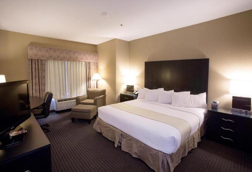 Номер Executive Кровать Кинг, Holiday Inn St. Paul Northeast   Lake Elmo, An Ihg