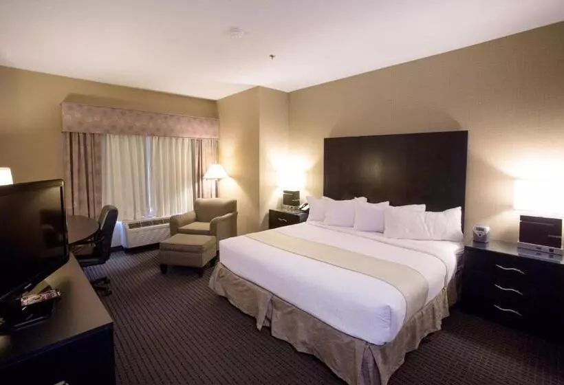 Executive-huone King-vuode, Holiday Inn St. Paul Northeast   Lake Elmo, An Ihg