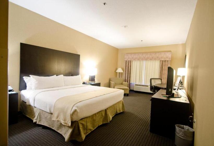 Номер Executive Кровать Кинг, Holiday Inn St. Paul Northeast Lake Elmo, An Ihg