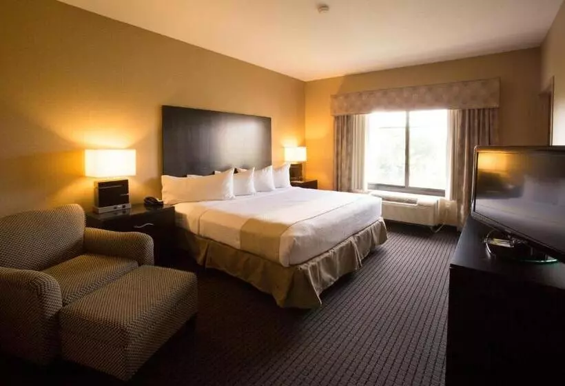 Executive-huone King-vuode, Holiday Inn St. Paul Northeast   Lake Elmo, An Ihg