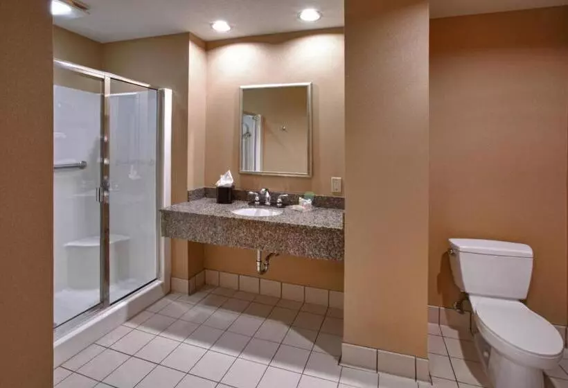 Standard-huone, Holiday Inn St. Paul Northeast   Lake Elmo, An Ihg
