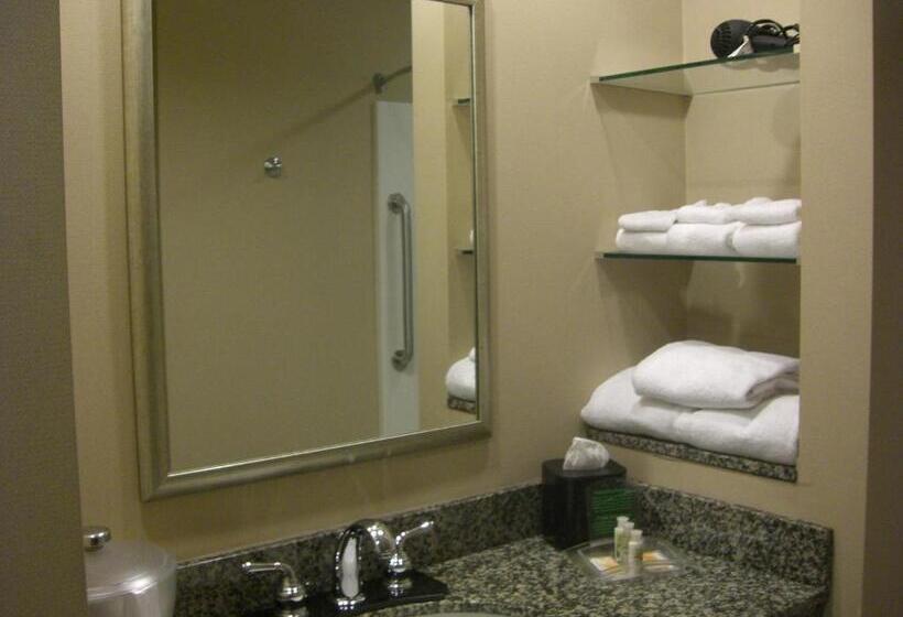 Номер Стандарт, Holiday Inn St. Paul Northeast Lake Elmo, An Ihg