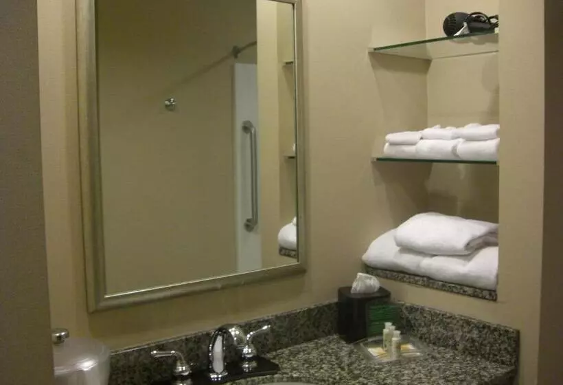 Standard-huone, Holiday Inn St. Paul Northeast   Lake Elmo, An Ihg