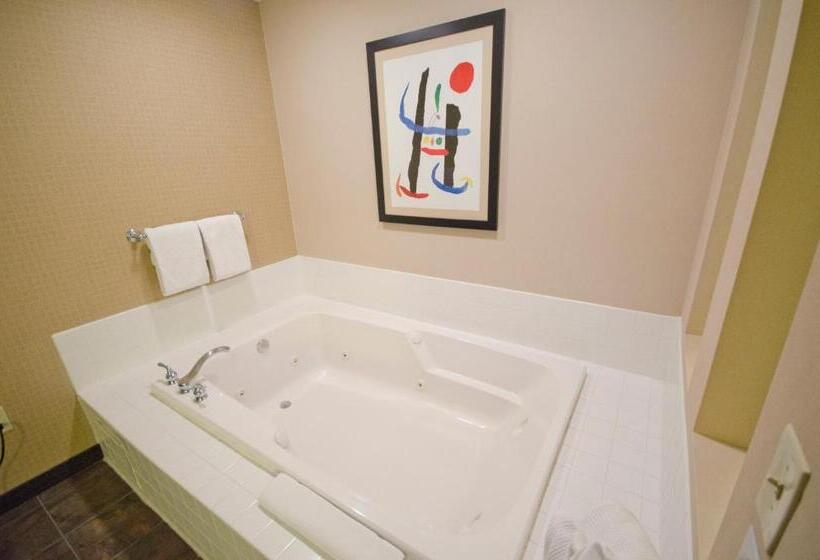 Люкс Кровать Кинг, Holiday Inn St. Paul Northeast Lake Elmo, An Ihg