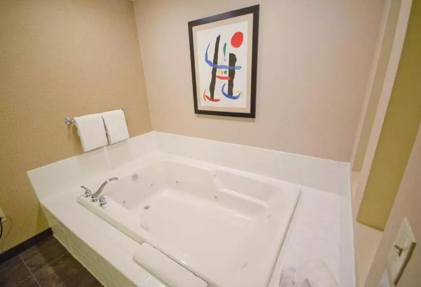 Sviitti King-vuode, Holiday Inn St. Paul Northeast   Lake Elmo, An Ihg