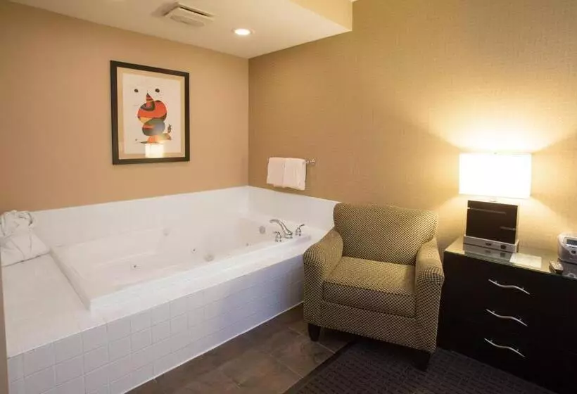 Sviitti King-vuode, Holiday Inn St. Paul Northeast   Lake Elmo, An Ihg