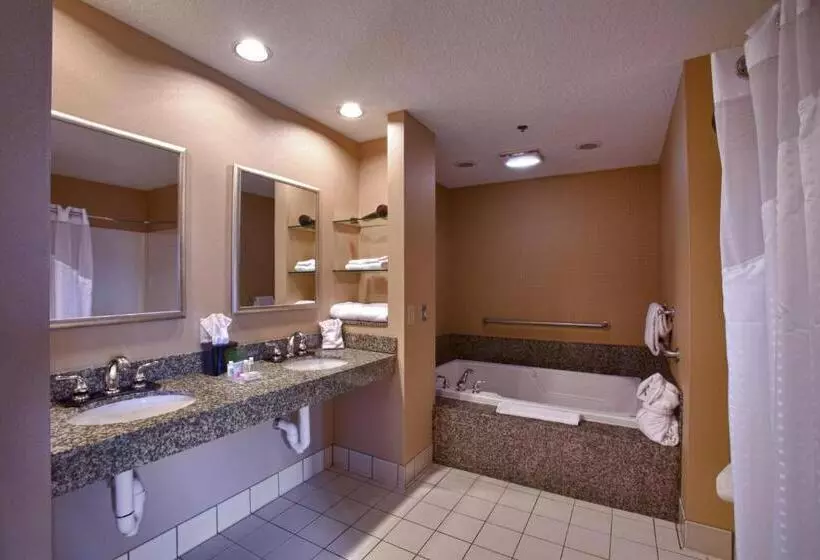 Executive-sviitti King-vuode, Holiday Inn St. Paul Northeast   Lake Elmo, An Ihg