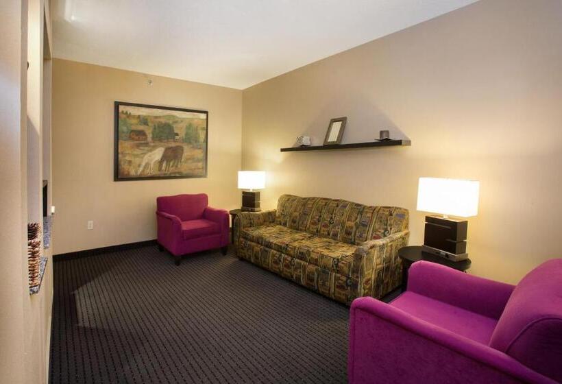 Люкс Executive Кровать Кинг, Holiday Inn St. Paul Northeast Lake Elmo, An Ihg