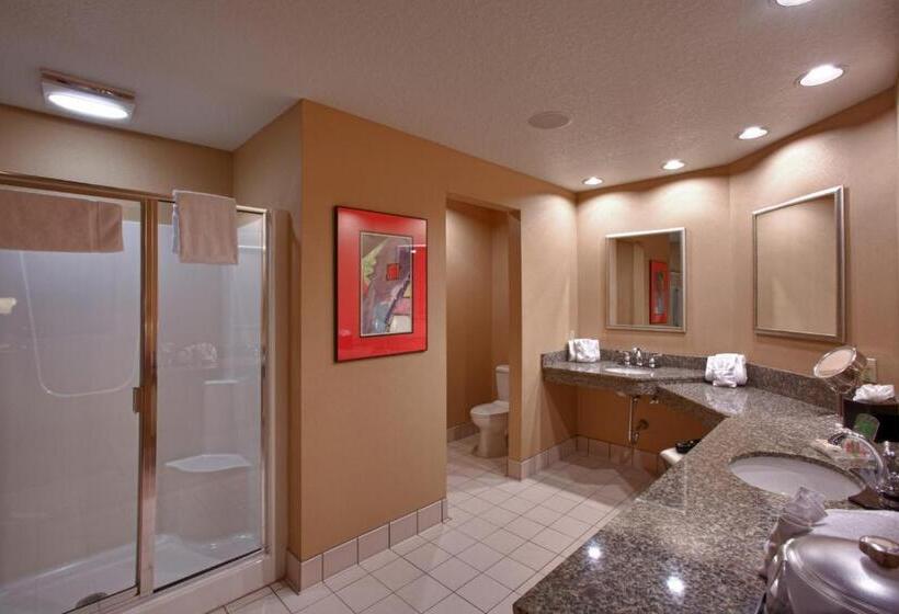 Люкс Кровать Кинг, Holiday Inn St. Paul Northeast Lake Elmo, An Ihg