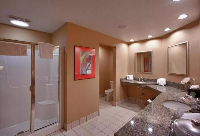 Sviitti King-vuode, Holiday Inn St. Paul Northeast   Lake Elmo, An Ihg