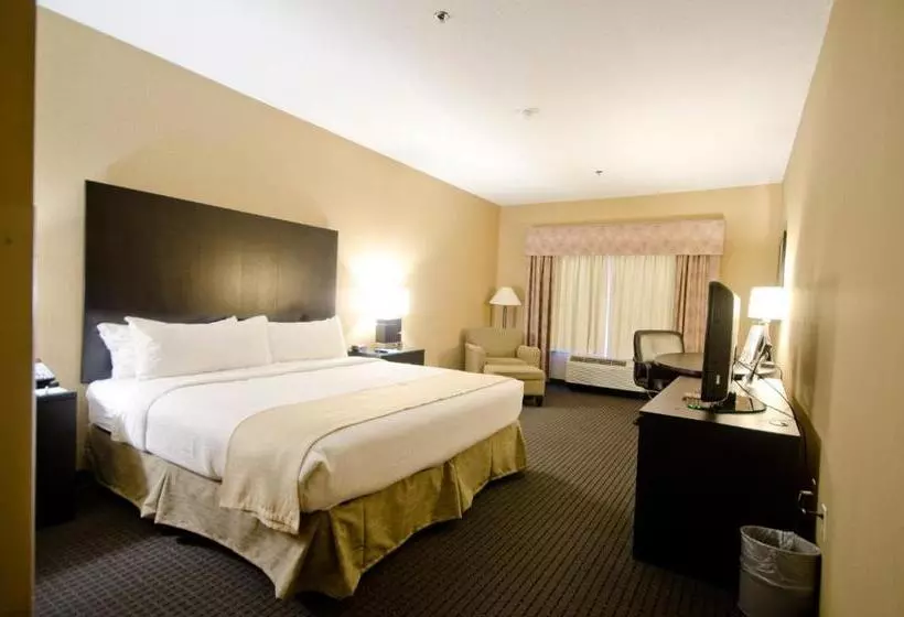Standard-invahuone King-vuode, Holiday Inn St. Paul Northeast   Lake Elmo, An Ihg