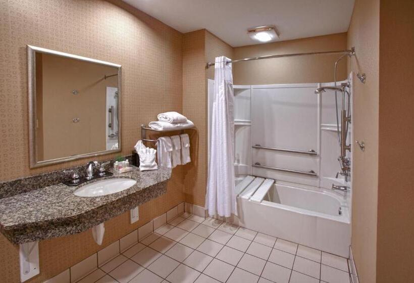 Номер Стандарт Адаптированный для Инвалидов, Holiday Inn St. Paul Northeast   Lake Elmo, An Ihg