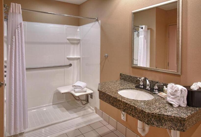 Номер Стандарт Кровать Кинг Адаптированный для Инвалидов, Holiday Inn St. Paul Northeast Lake Elmo, An Ihg