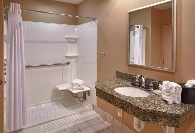 Standard-invahuone King-vuode, Holiday Inn St. Paul Northeast   Lake Elmo, An Ihg