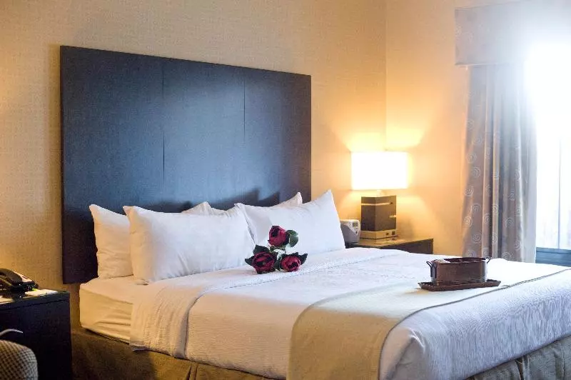 Sviitti King-vuode, Holiday Inn St. Paul Northeast   Lake Elmo, An Ihg