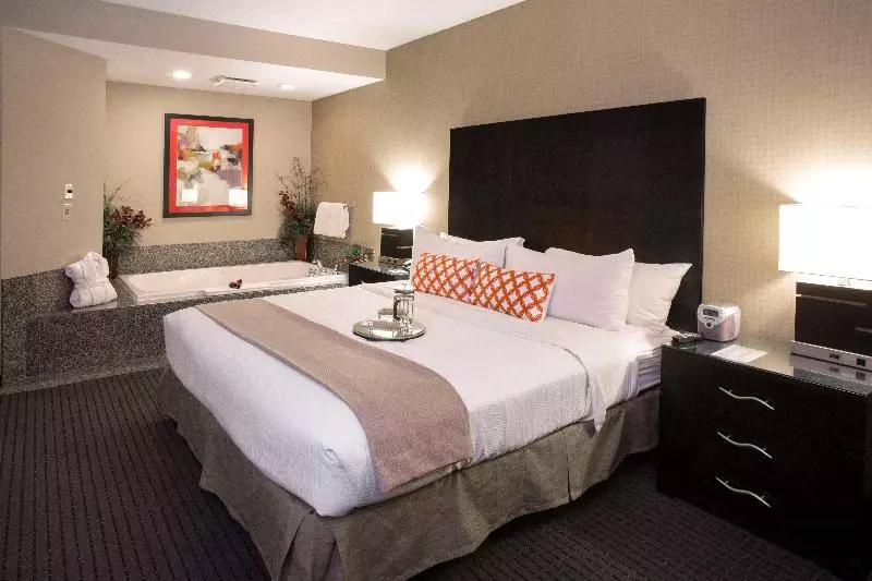 Sviitti King-vuode, Holiday Inn St. Paul Northeast   Lake Elmo, An Ihg