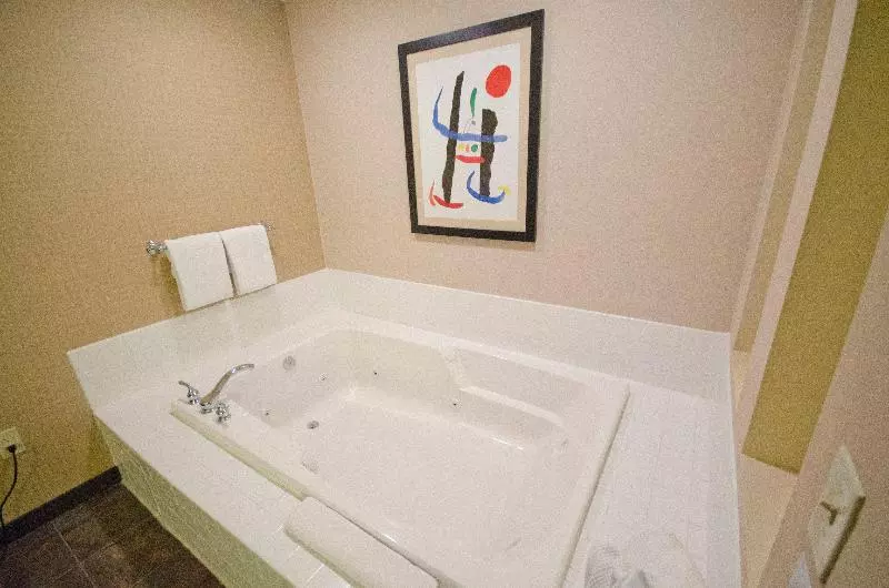 Sviitti King-vuode, Holiday Inn St. Paul Northeast   Lake Elmo, An Ihg