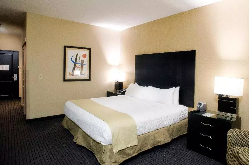 Standard-invahuone King-vuode, Holiday Inn St. Paul Northeast   Lake Elmo, An Ihg
