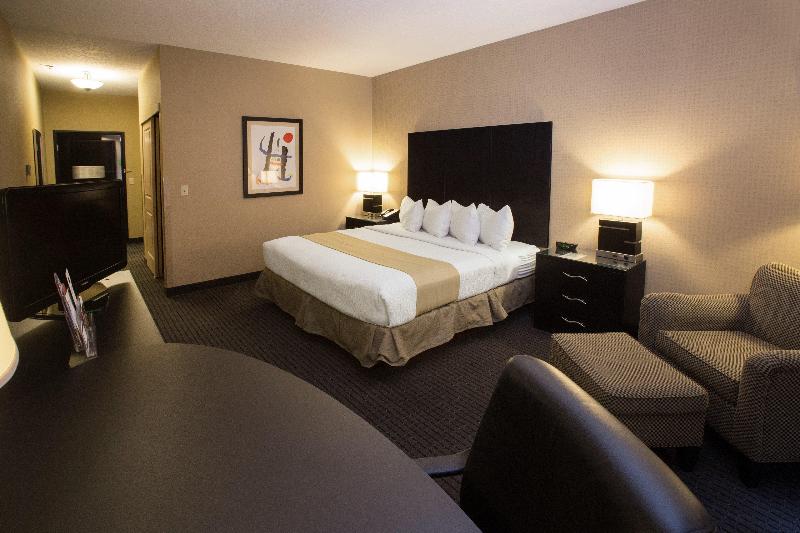 Номер Стандарт Кровать Кинг Адаптированный для Инвалидов, Holiday Inn St. Paul Northeast Lake Elmo, An Ihg