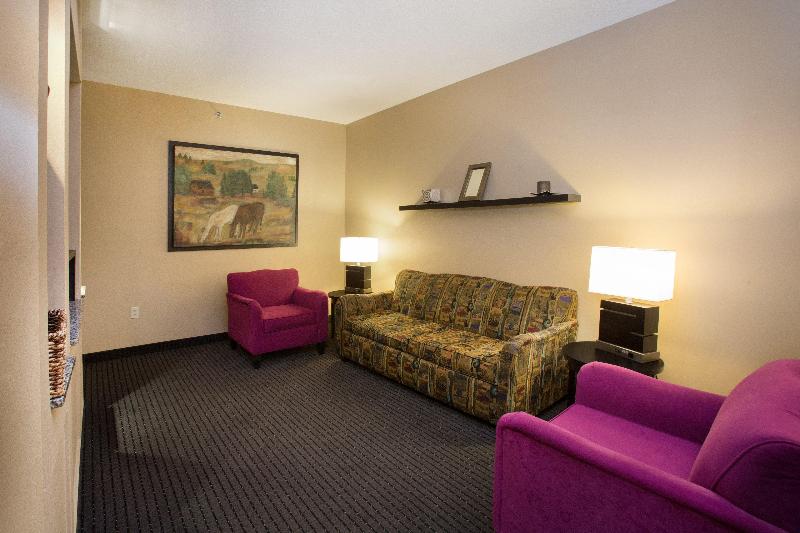 Люкс Executive Кровать Кинг, Holiday Inn St. Paul Northeast Lake Elmo, An Ihg