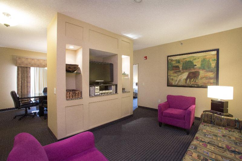 Люкс Executive Кровать Кинг, Holiday Inn St. Paul Northeast Lake Elmo, An Ihg