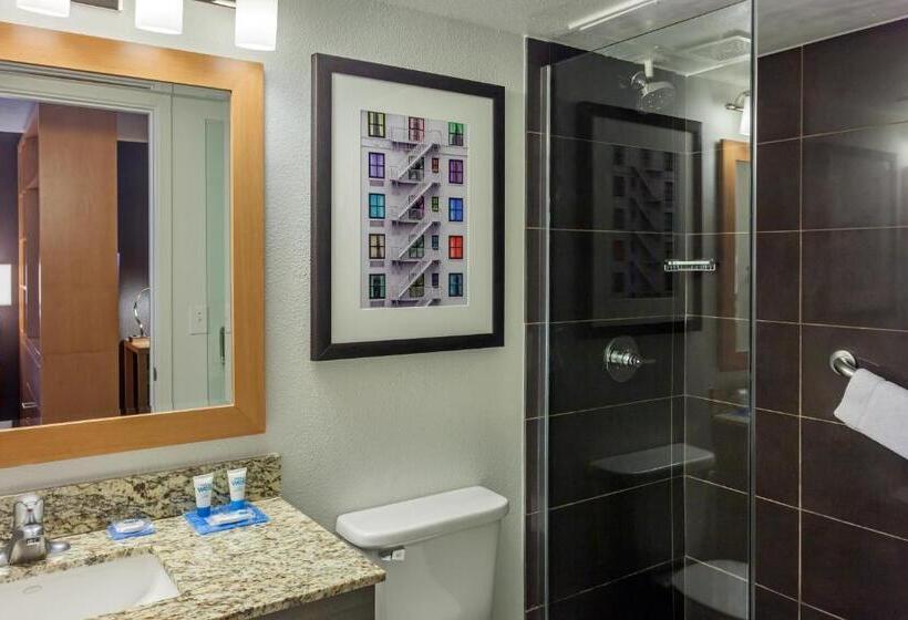 Suite Lit King, Hyatt House Houston Galleria