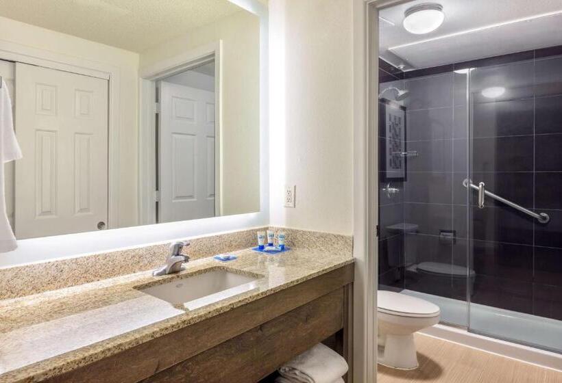 Студио Стандарт Кровать Кинг, Hyatt House Houston Galleria