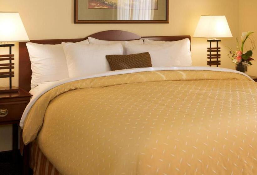 行政套房, Larkspur Landing Extended Stay Suites Campbell