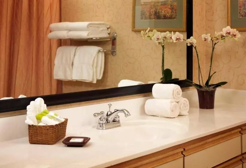 سوییت خانوادگی, Larkspur Landing Extended Stay Suites Campbell