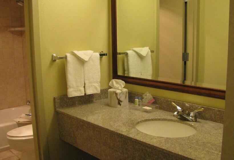 غرفة قياسية, Clarion Inn Idaho Falls Riverfront