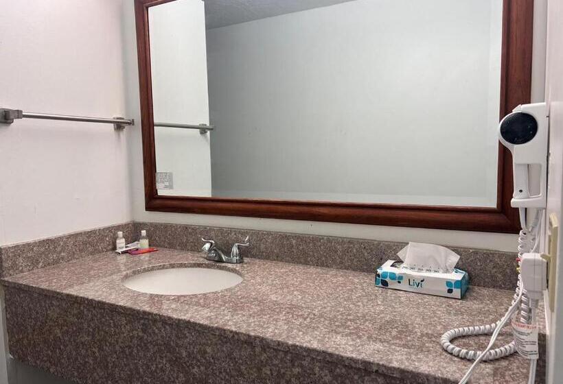 غرفة قياسية سرير كينج لذوى الإحتياجات الخاصة, Clarion Inn Idaho Falls Riverfront