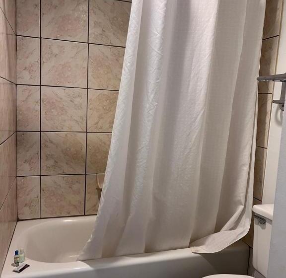 Номер Стандарт Кровать Кинг Адаптированный для Инвалидов, Clarion Inn Idaho Falls Riverfront