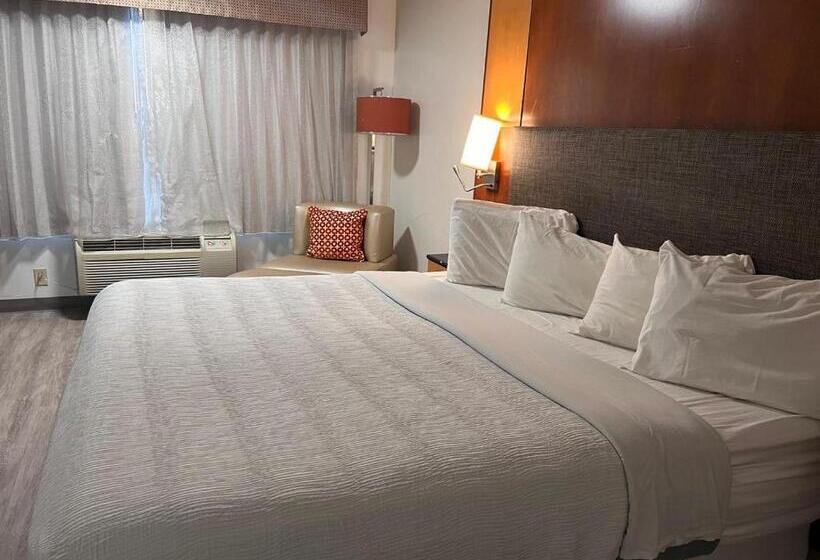 غرفة قياسية سرير كينج, Clarion Inn Idaho Falls Riverfront