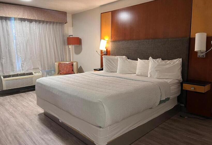 غرفة قياسية سرير كينج, Clarion Inn Idaho Falls Riverfront