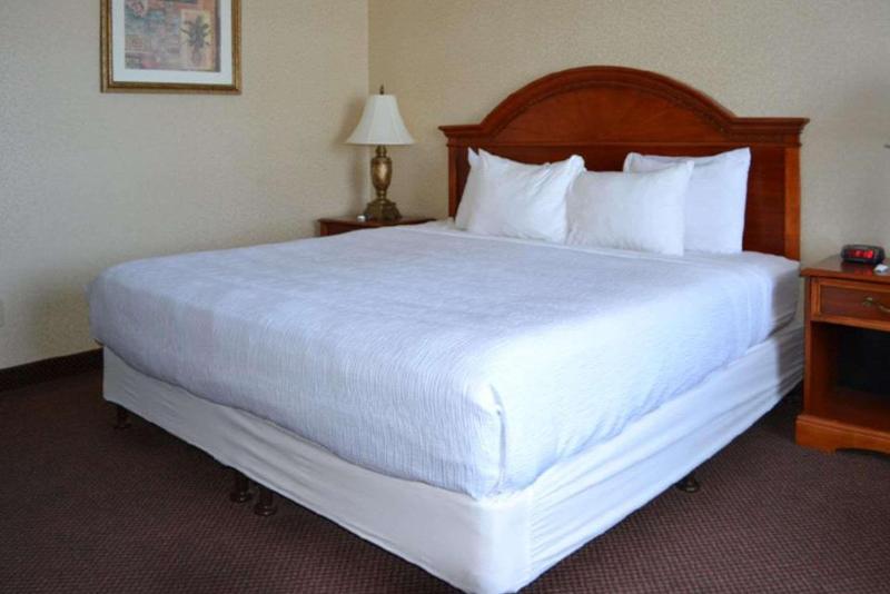 غرفة قياسية سرير كينج لذوى الإحتياجات الخاصة, Clarion Inn Idaho Falls Riverfront